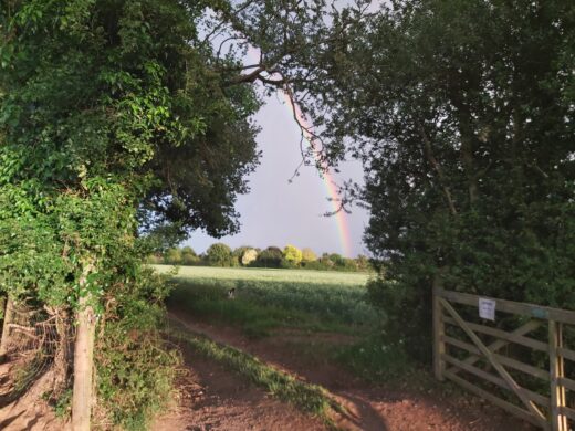 rainbow through the field gate